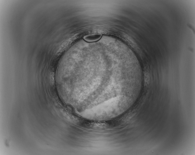 X0000103140401200809051619