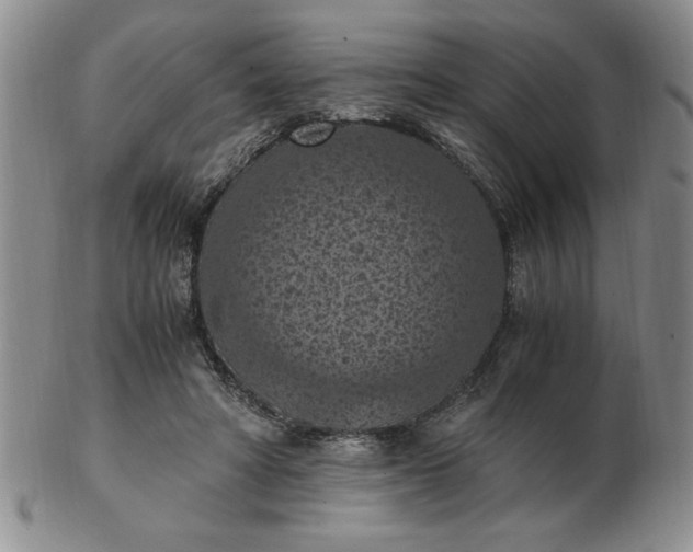 X0000103140402200809051619