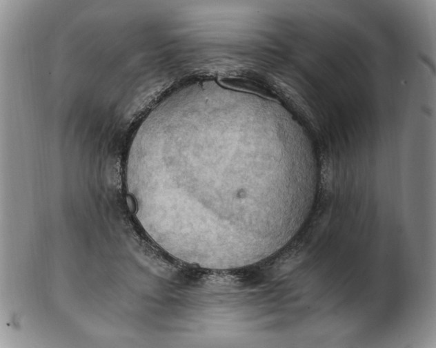 X0000103140403200809051619