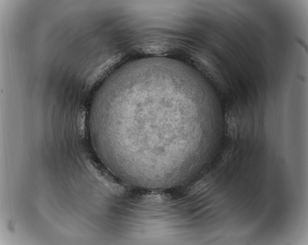 X0000103140404200809051619