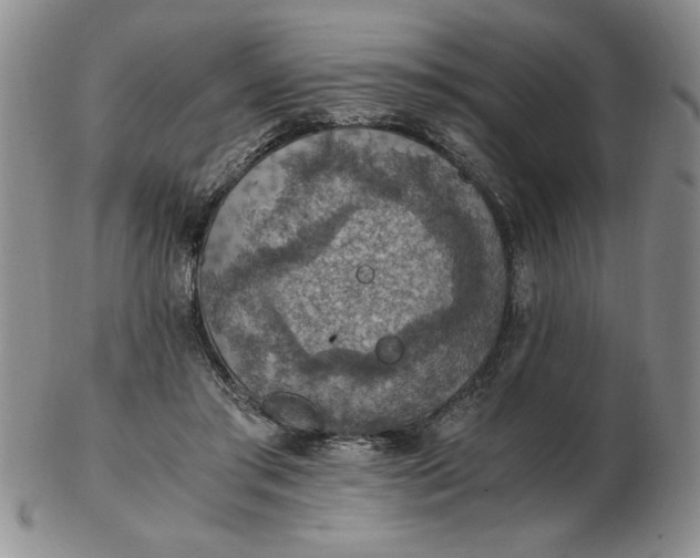 X0000103140405200809051619