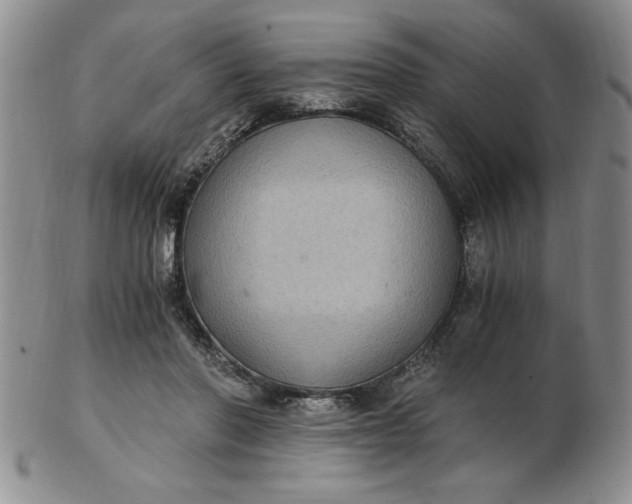 X0000103140406200809051619