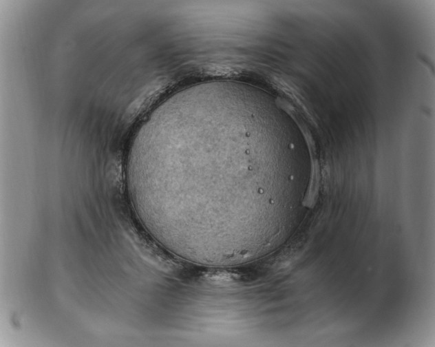 X0000103140407200809051619