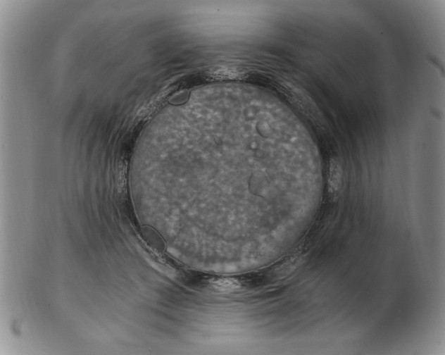 X0000103140409200809051619