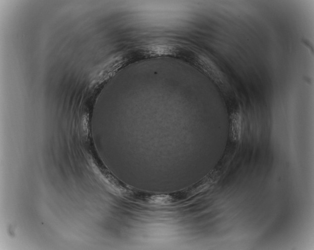 X0000103140410200809051619