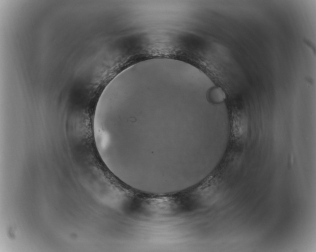 X0000103140411200809051619