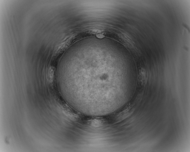 X0000103140412200809051619