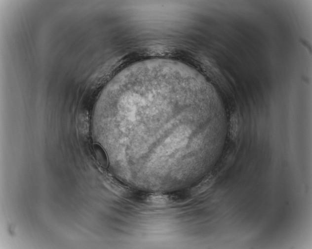 X0000103140413200809051619