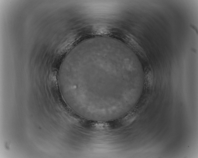 X0000103140415200809051619