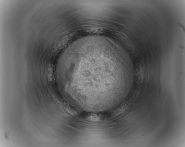 X0000103140416200809051619