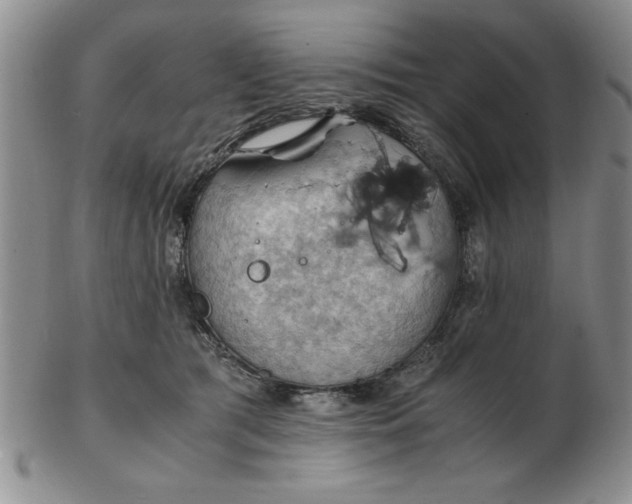 X0000103140417200809051619