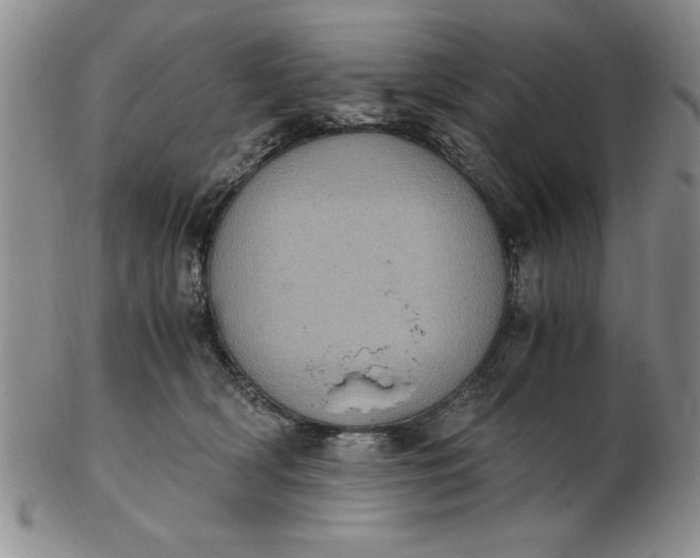 X0000103140418200809051619