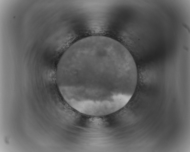 X0000103140419200809051619