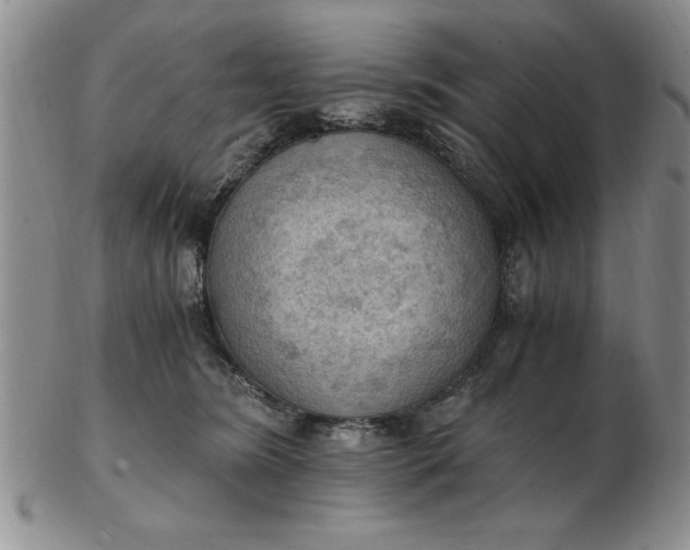 X0000103140420200809051619