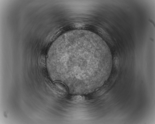 X0000103140421200809051619