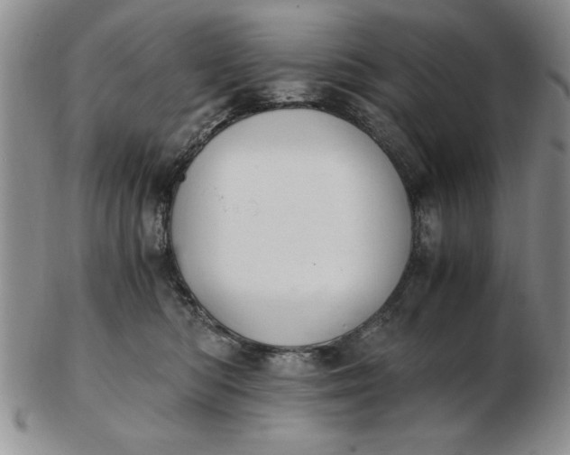 X0000103140422200809051619