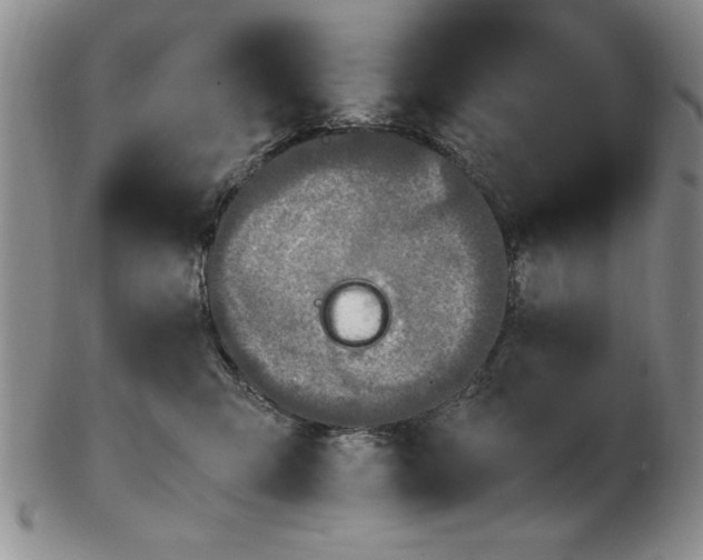 X0000103140423200809051619