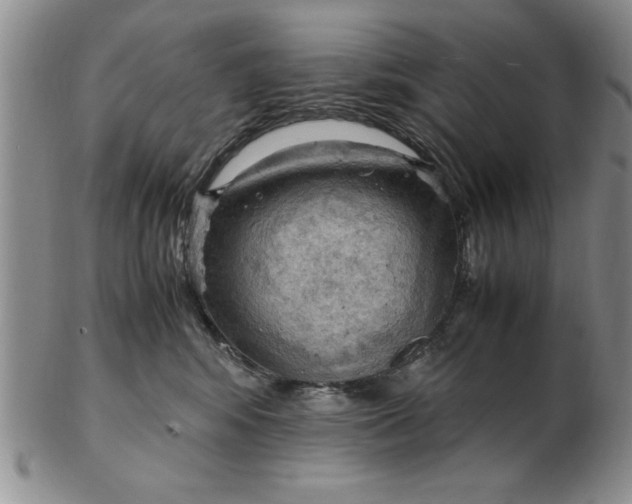 X0000103140424200809051619