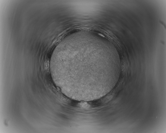 X0000103140425200809051619