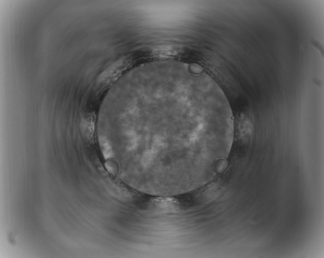 X0000103140427200809051619