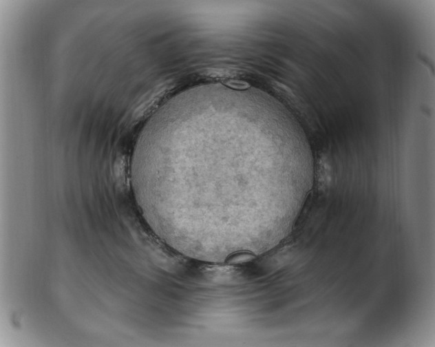 X0000103140428200809051619