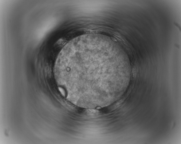 X0000103140429200809051619