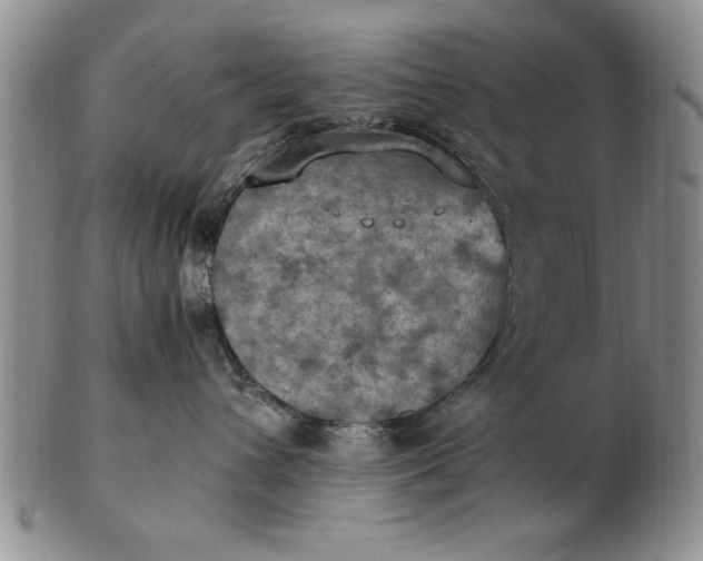 X0000103140432200809051619