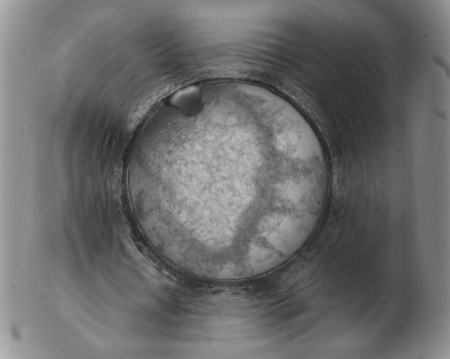 X0000103140434200809051618