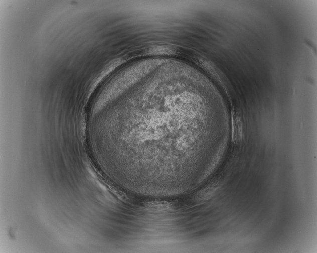 X0000103140435200809051618