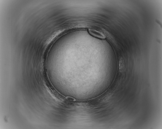 X0000103140436200809051618