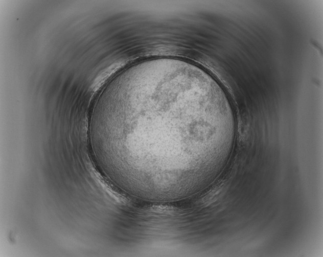 X0000103140437200809051618