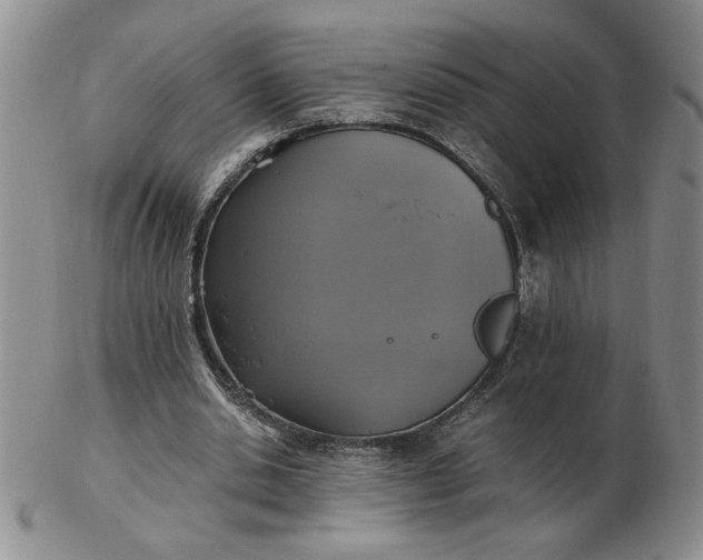 X0000103140438200809051618