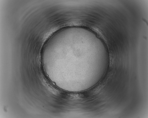 X0000103140439200809051618