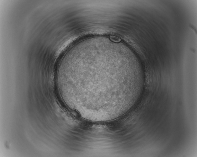 X0000103140440200809051618