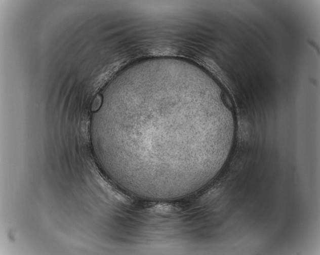 X0000103140441200809051618