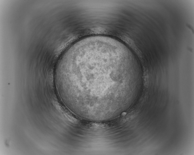 X0000103140442200809051618