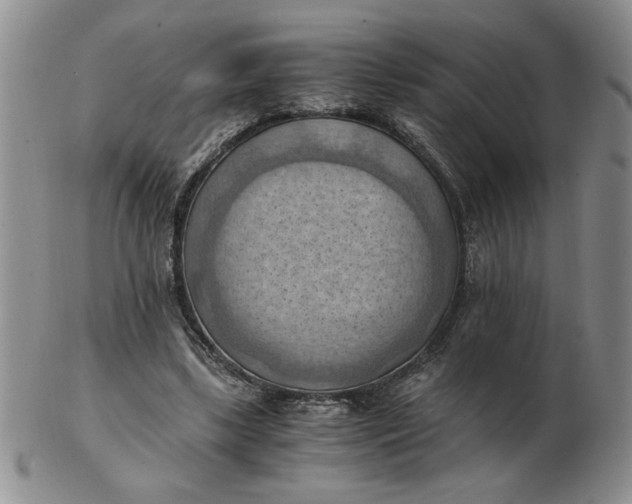 X0000103140443200809051618