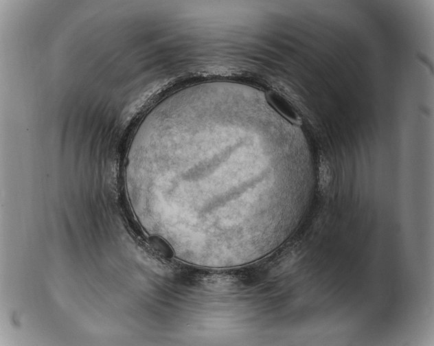 X0000103140444200809051618