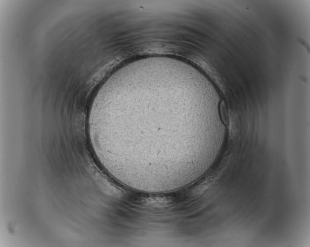 X0000103140445200809051618