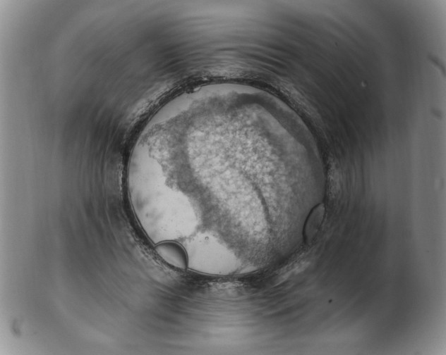 X0000103140446200809051618