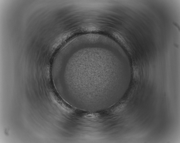 X0000103140447200809051618