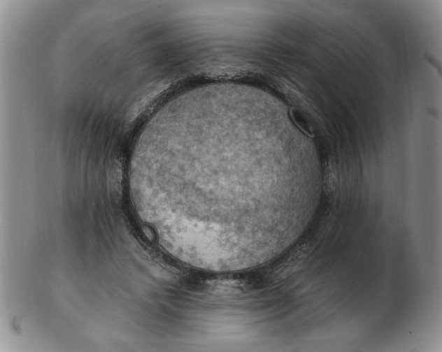 X0000103140448200809051618