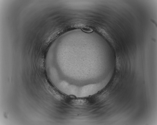 X0000103140449200809051618