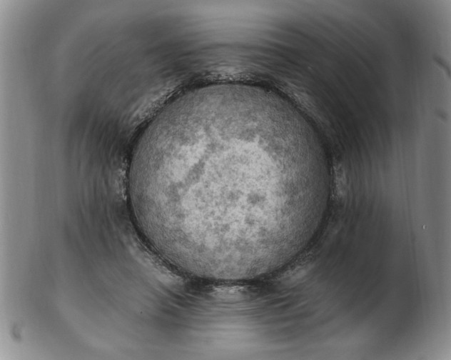 X0000103140450200809051618