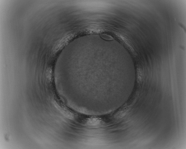 X0000103140451200809051618