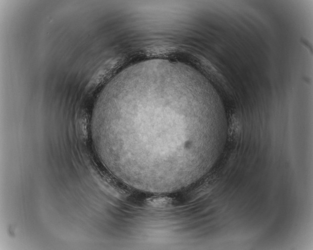 X0000103140452200809051618