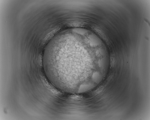 X0000103140453200809051618