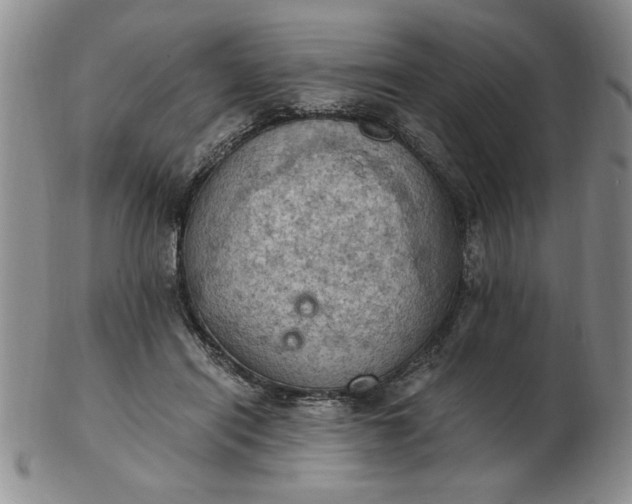 X0000103140454200809051618