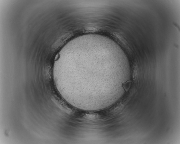 X0000103140455200809051618