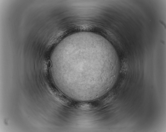 X0000103140456200809051618